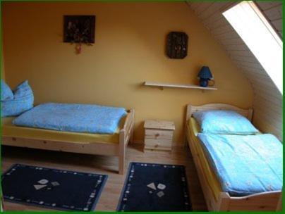 Im Urigen Garten Bzw Eulenhaus Zingst